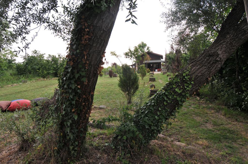 Agva Nehir Perisi Hotel Goce Chambre photo